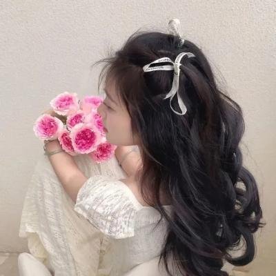 狂野之翼